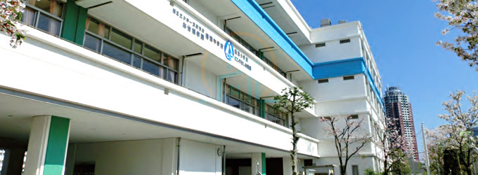 港陽小学校