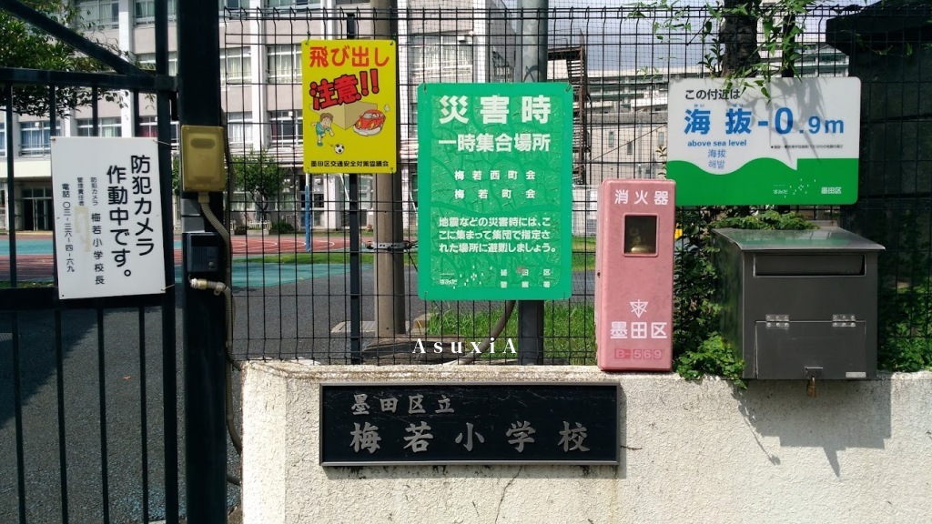 梅若小学校