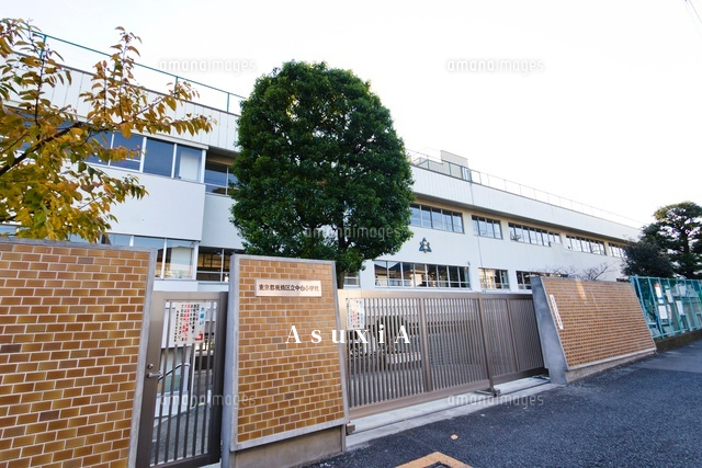 中台小学校