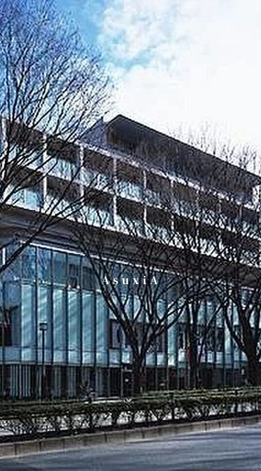 表参道ヒルズゼルコバテラスW