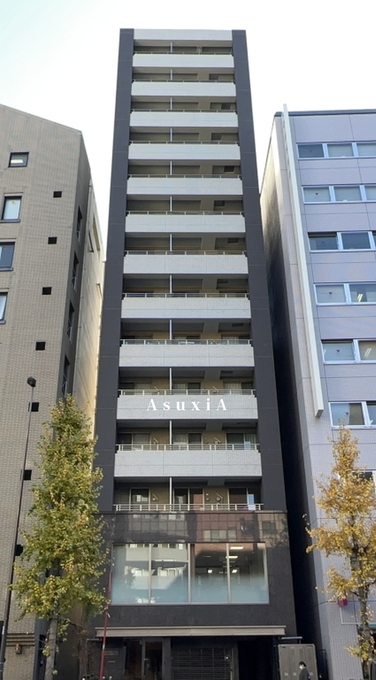 クリアウォータ芝