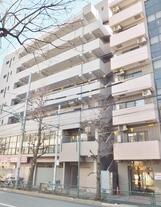 ライプワン目白