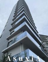 プレミスト白金