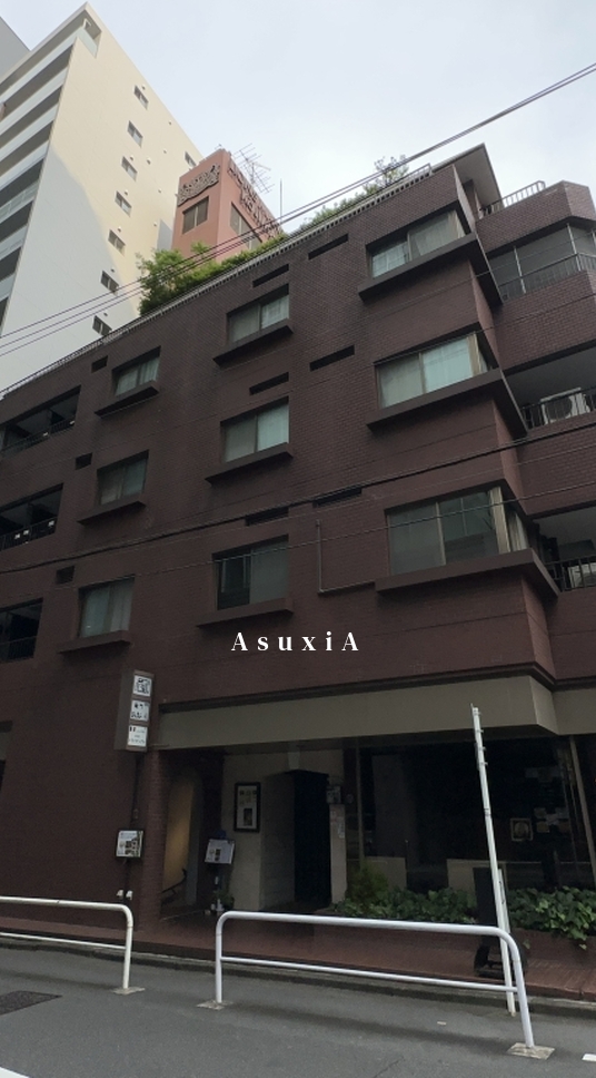 ライオンズマンション麹町