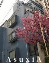 ハーベストハウス円山