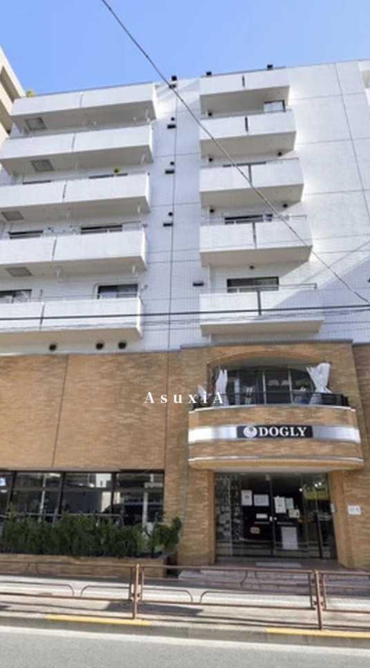 東急ドエルアルス鶯谷