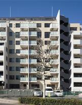 レジディア白金高輪