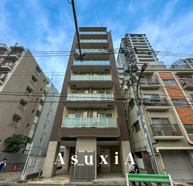 リブリ・Platinum