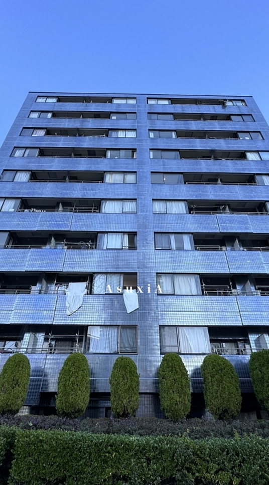 T’s garden八丁堀