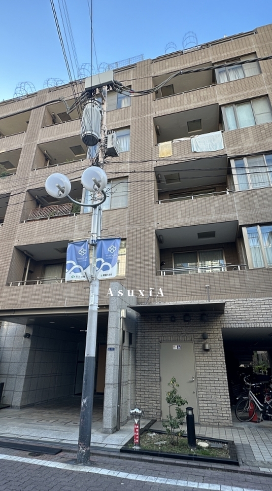 プランシェードメイツ白金