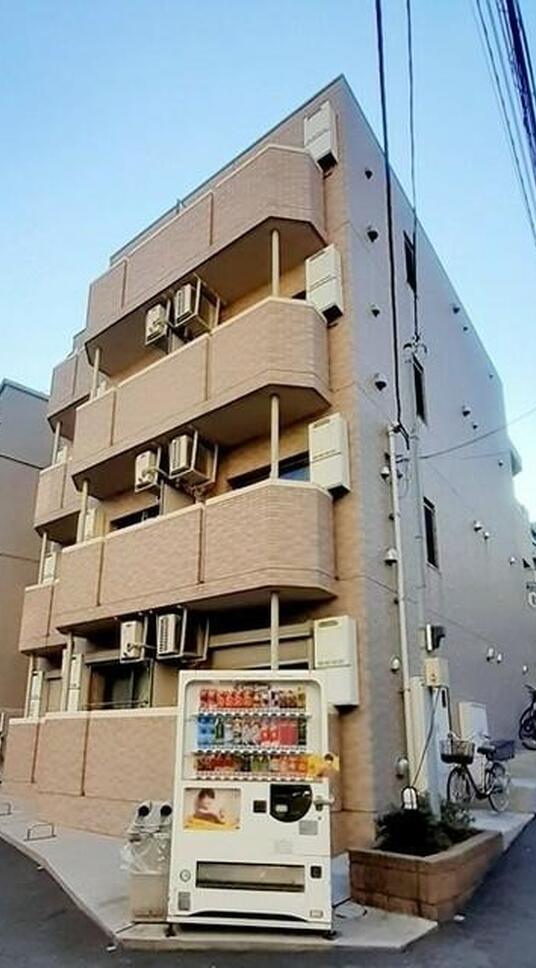 エバーグリーン