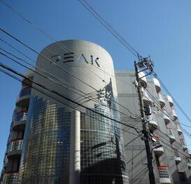 THE PEAK