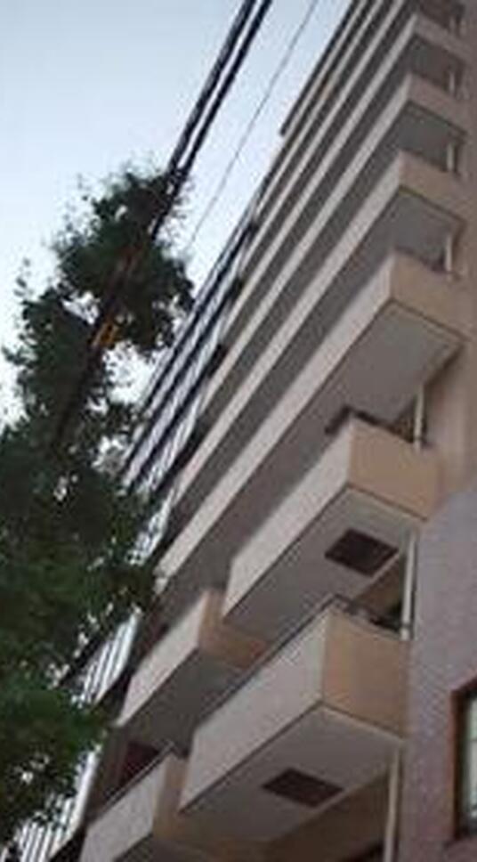 ダイアパレス芝大門