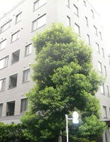 ルグラン三番町