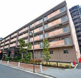 セレリーオ・ニッコー