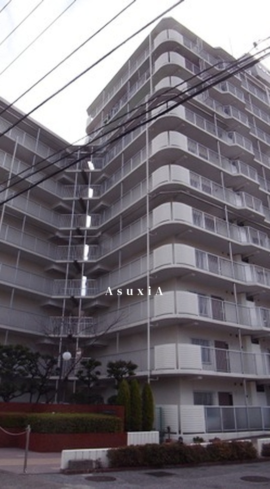 マンハイム西大島