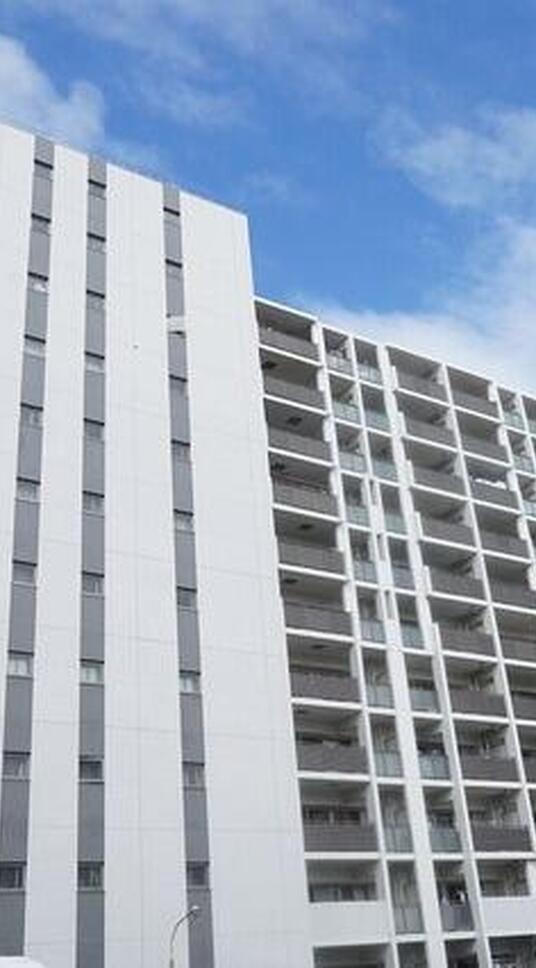 ルネプライディア