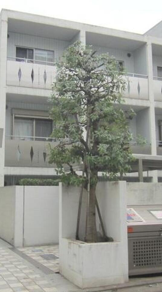 フラックス代々木公園