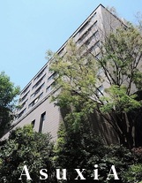 URコラム南青山