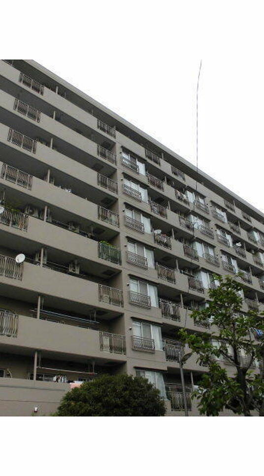 大島ファミール恩賜公園