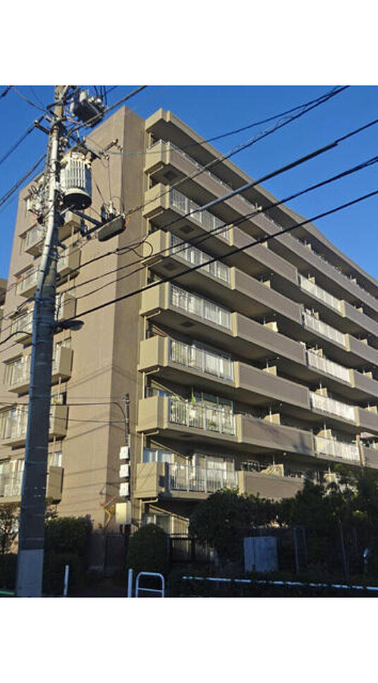 ライネスハイム志村