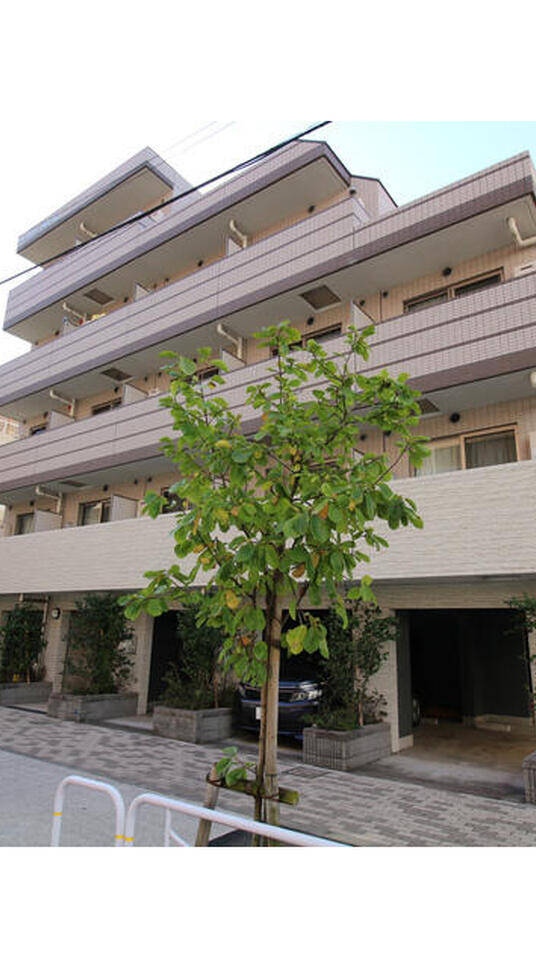 プレール・ドゥーク東雲Ⅱ