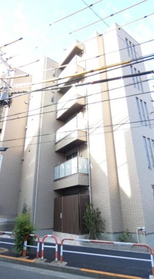 ワイズフォレスト