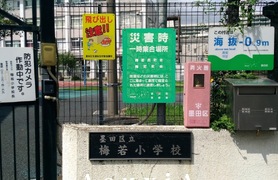 梅若小学校