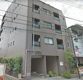 サウスコーラル