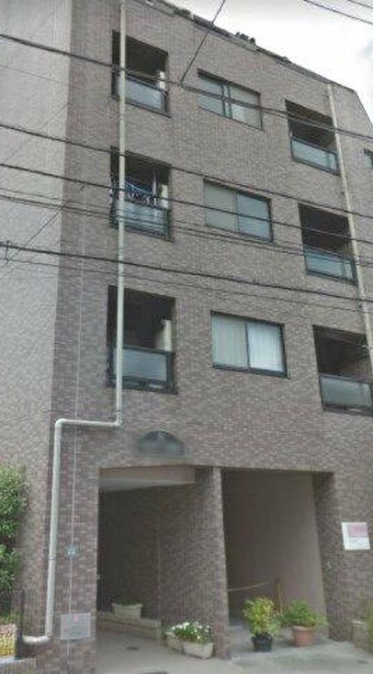 サウスコーラル