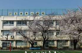 五本木小学校