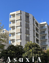 デュオ・スカーラ大島