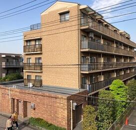 メゾン・カメリア