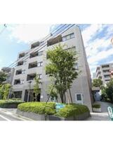 エル・セレーノ西早稲田