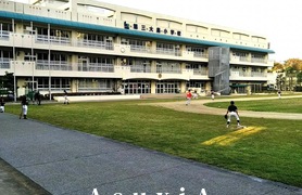 第三大島小学校