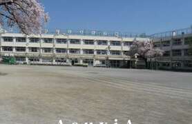 桜丘小学校
