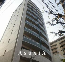 ニューボンデージ