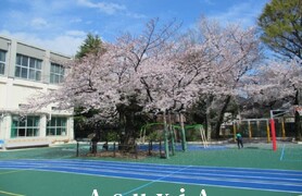 駒込小学校