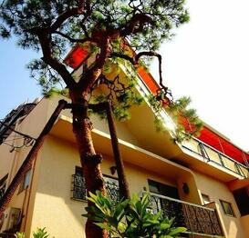 パインフラット