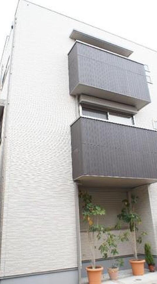 デルフィーノ八雲