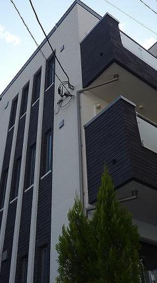 BLI MIU SHIROKANEDAI