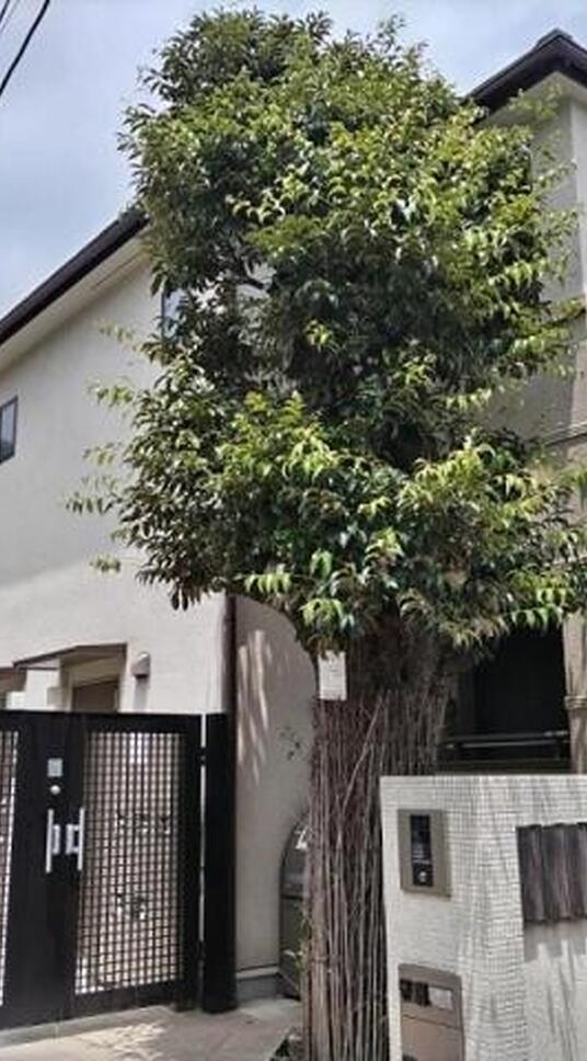 ブリーゼ中目黒