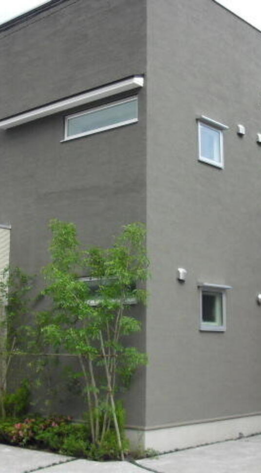 オリーブコート