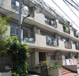 セイショウ・ヴィレッジ