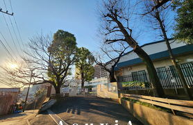 志村小学校