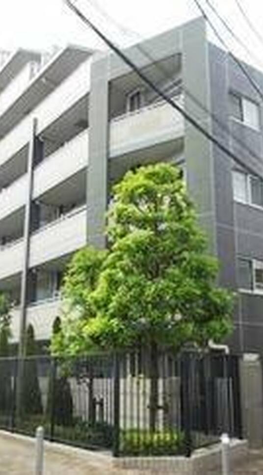 藤和学芸大学ホームズⅡ