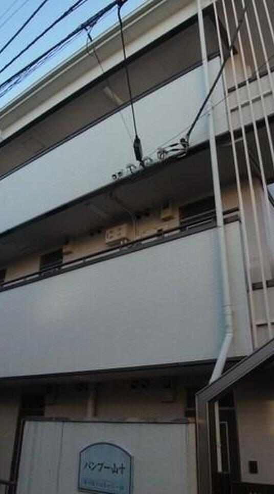 バンブー山十小山5