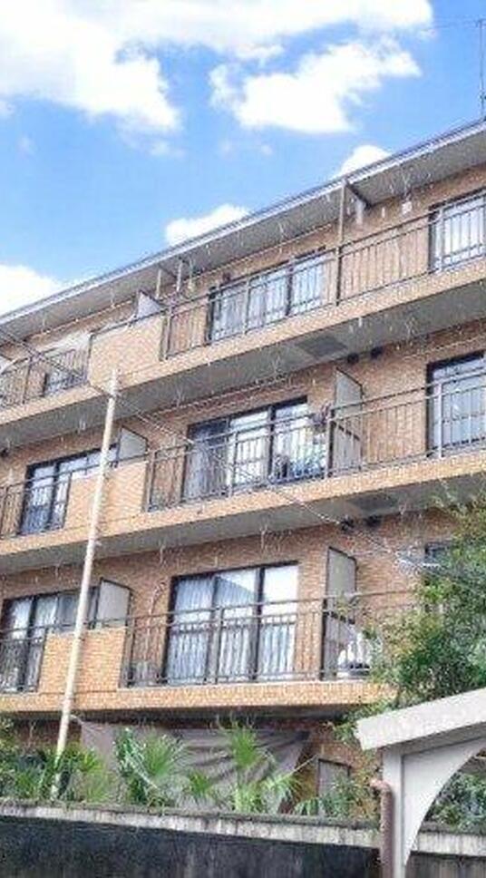 ハウスコットンテール