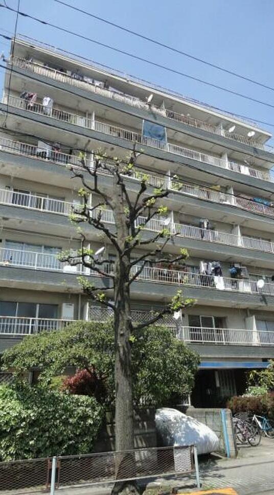 ニュー中目黒マンション