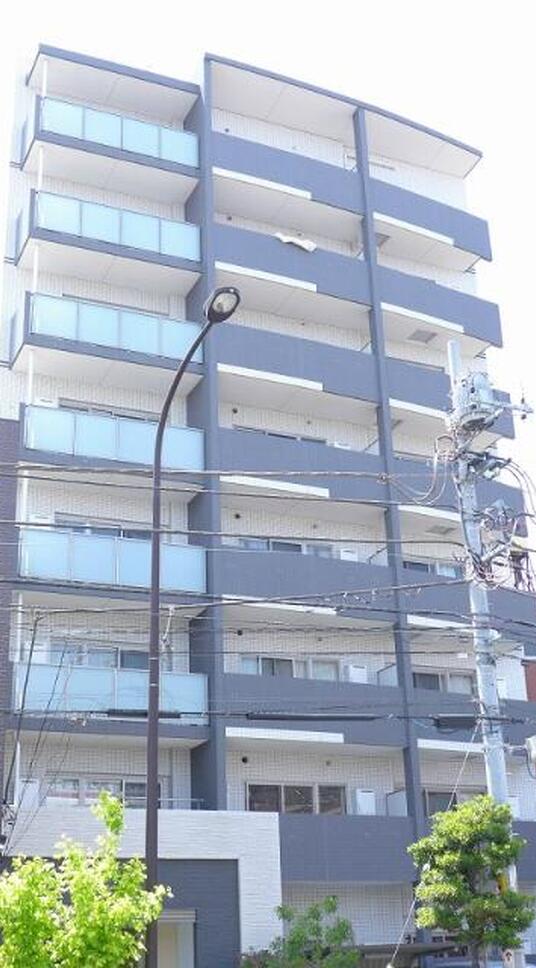 スカイビューエヌティ